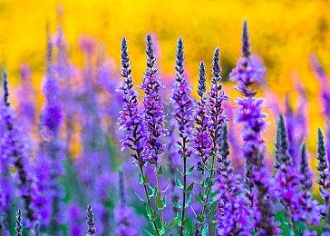 经典FPS《时空分裂者》在台通过PS4和PS5评级